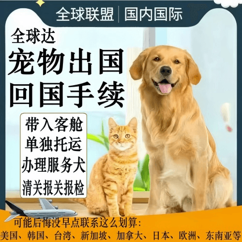 佳木斯市宠物托运到柬埔寨宠物入境规定和要求