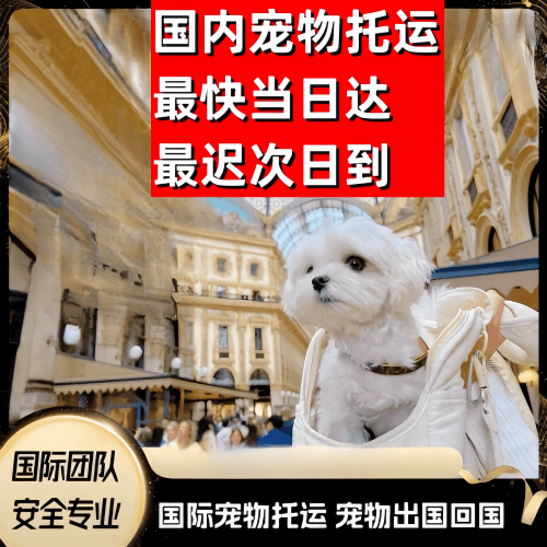 佳木斯市到澳大利亚（澳洲）宠物入境规定和要求